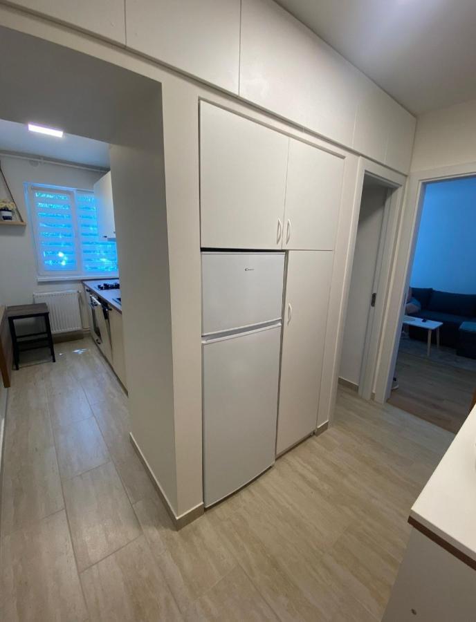 Apartamentul Gaviota تيميشورا المظهر الخارجي الصورة