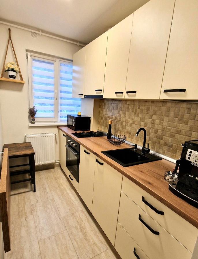 Apartamentul Gaviota تيميشورا المظهر الخارجي الصورة